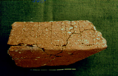carène UTULEVE I